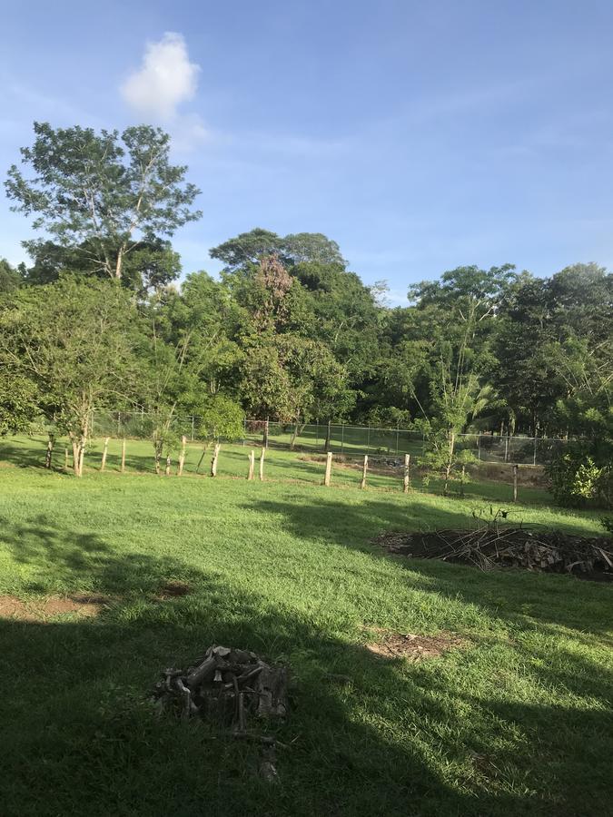 Villa Segura Manuel Antonio, Quepos Eksteriør billede
